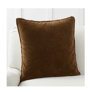 Pottery Barn Velvet Throw Pillow Cover (4)